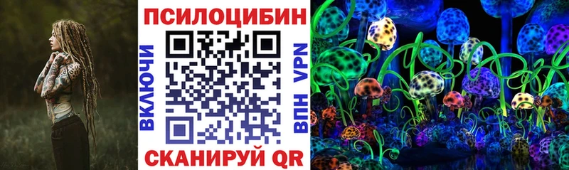 Псилоцибиновые грибы Cubensis магазин Черногорск